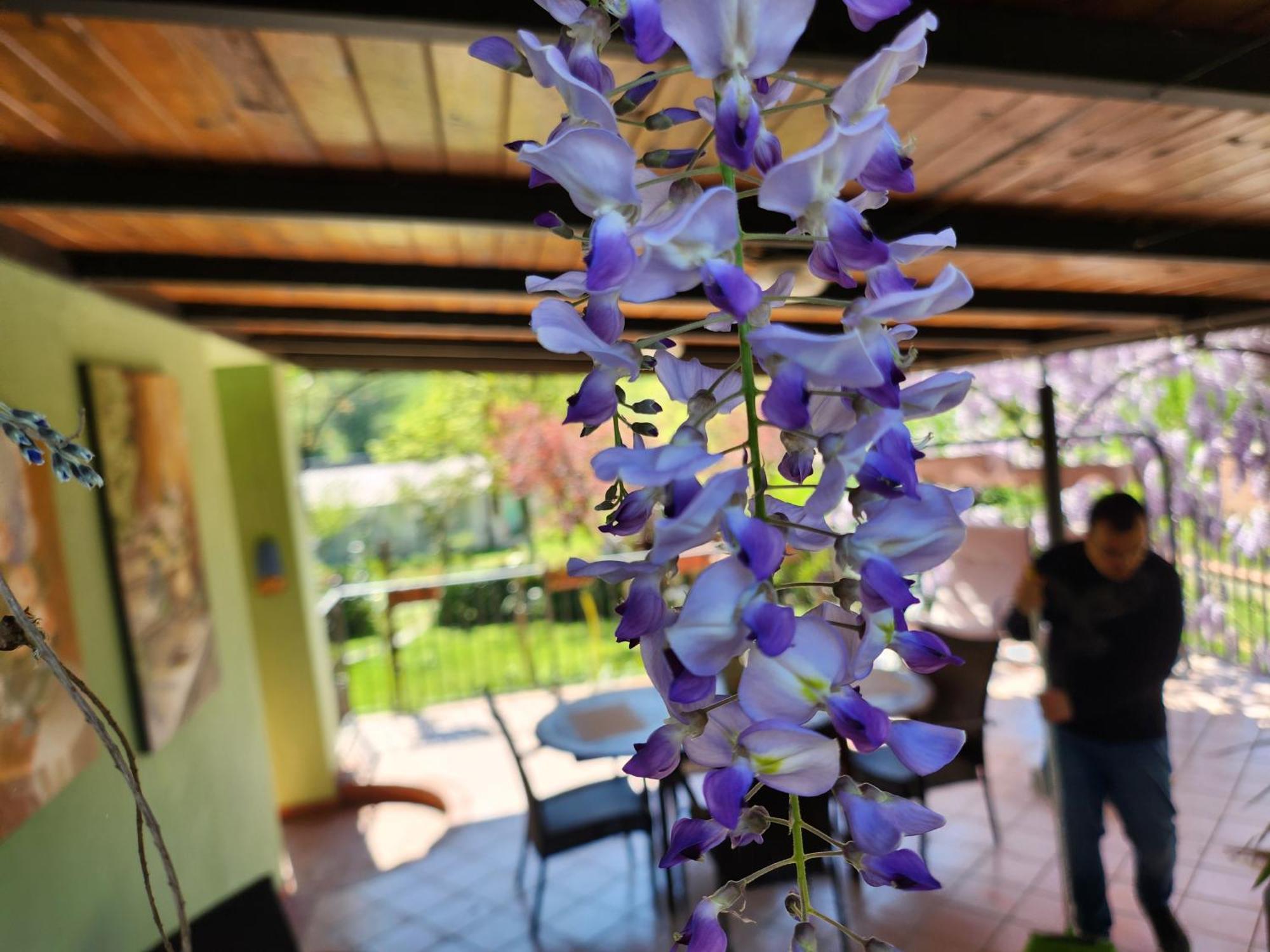 B&B Villa Sabrina Arezzo Exterior foto